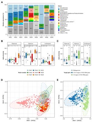 Driving forces shaping the microbial ecology in meat packing plants